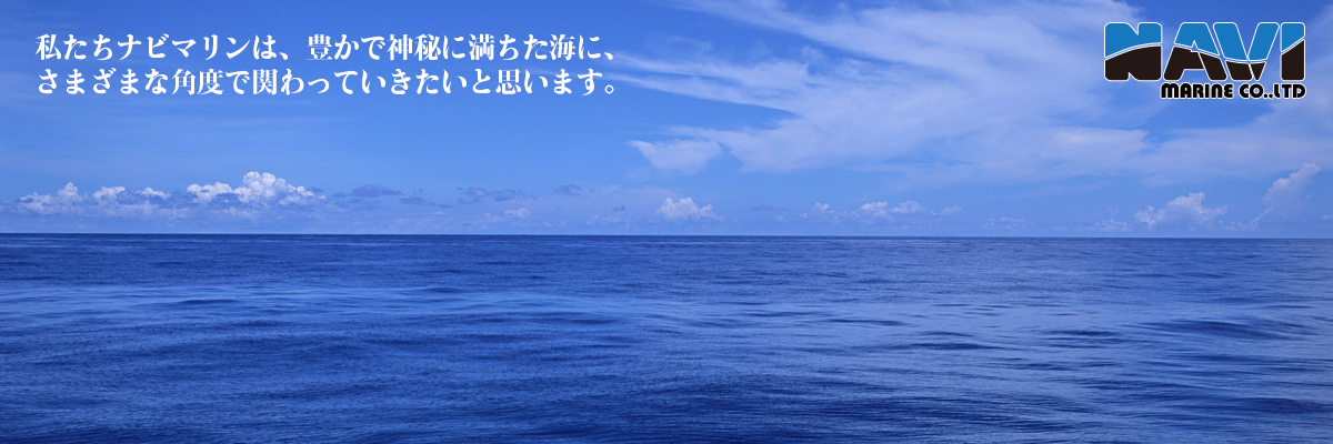 企業概要
